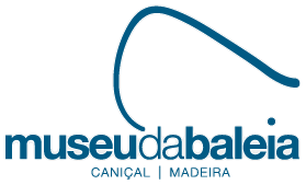 museu da baleia VR